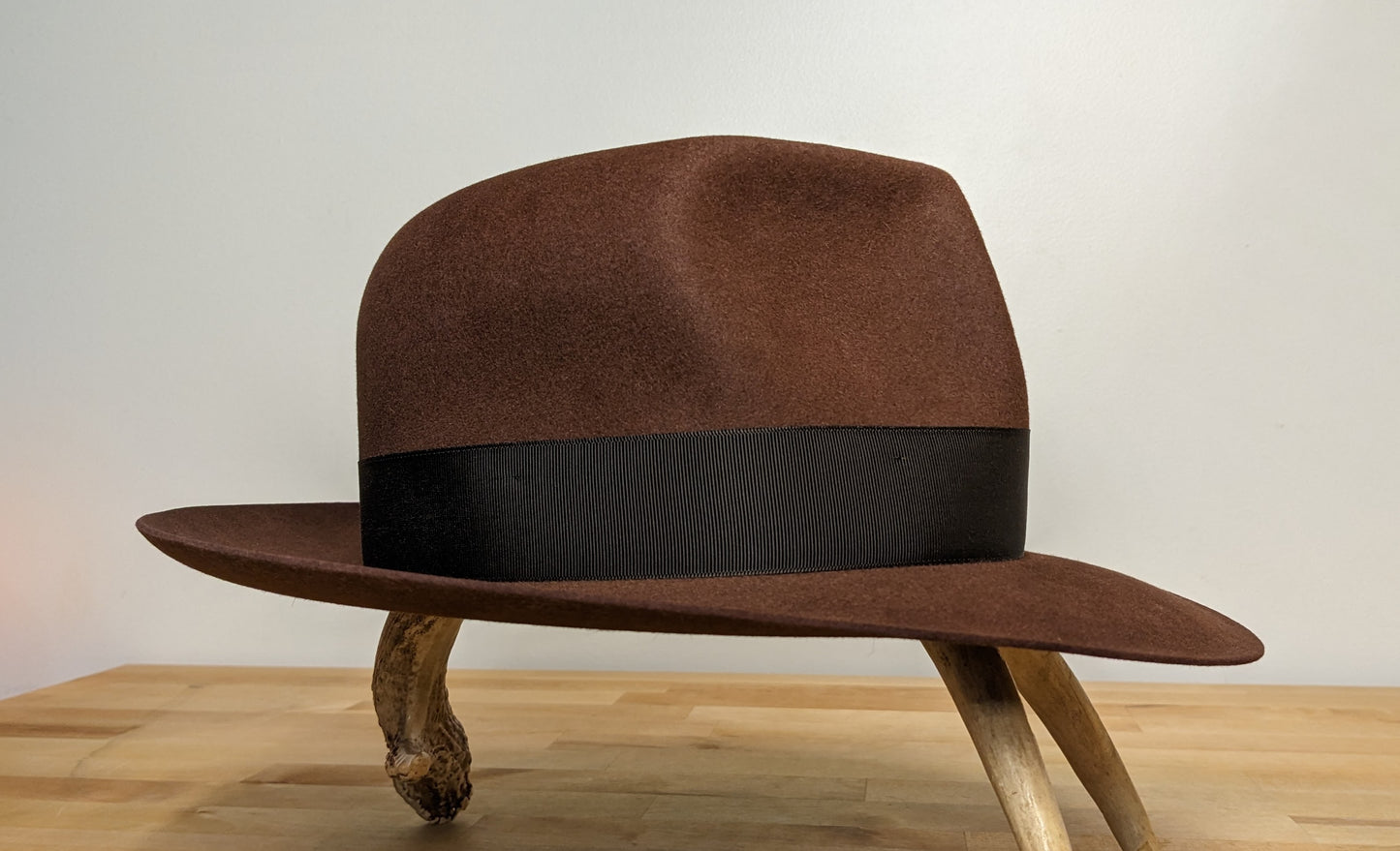 The Arkologist 2 Fedora